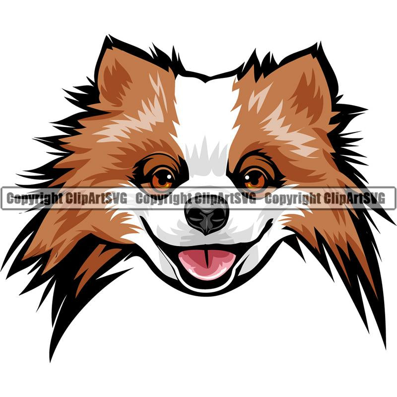 Pomeranian Dog Breed Head Color ClipArt SVG