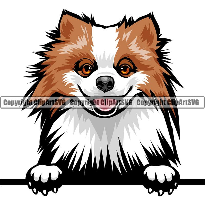 Pomeranian Dog Breed Peeking Color ClipArt SVG