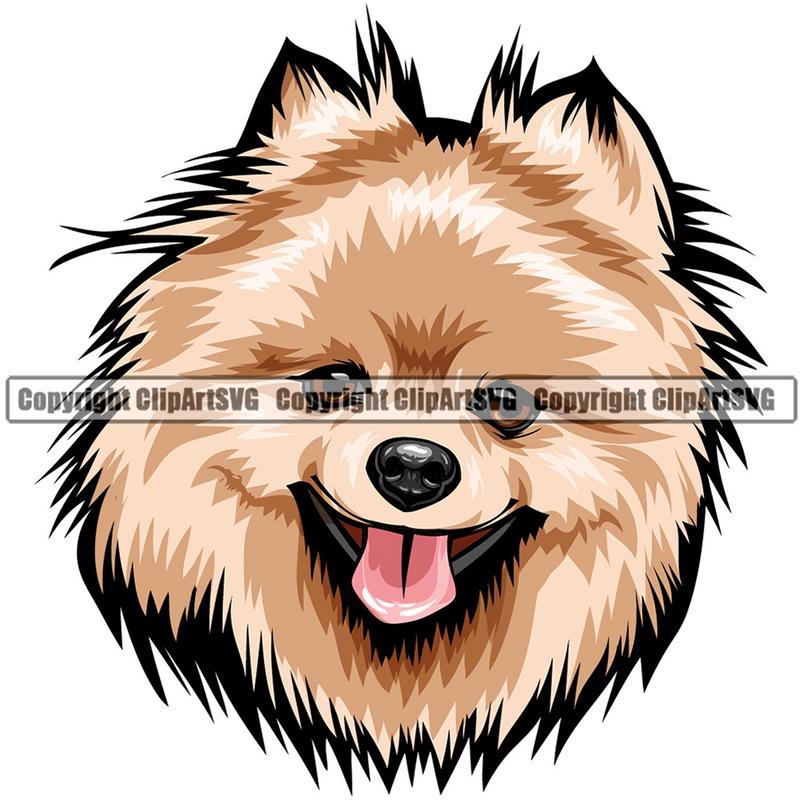 Pomeranian Dog Breed Head Color ClipArt SVG
