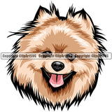 Pomeranian Dog Breed Head Color ClipArt SVG