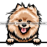Pomeranian Dog Breed Peeking Color ClipArt SVG