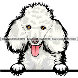 Poodle Dog Breed Peeking Color ClipArt SVG