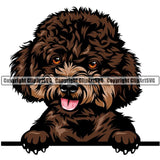 Poodle Dog Breed Peeking Color ClipArt SVG