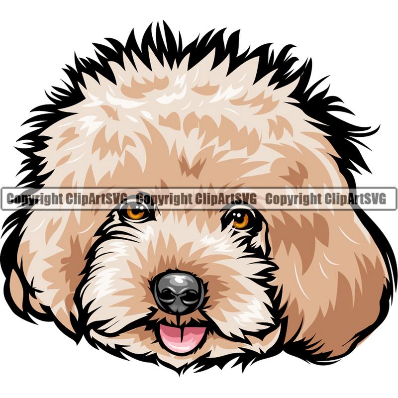 Poodle Dog Breed Head Color ClipArt SVG