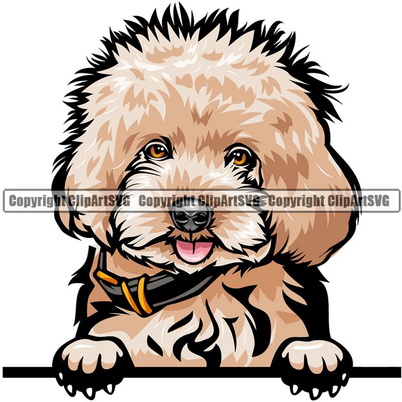 Poodle Dog Breed Peeking Color ClipArt SVG
