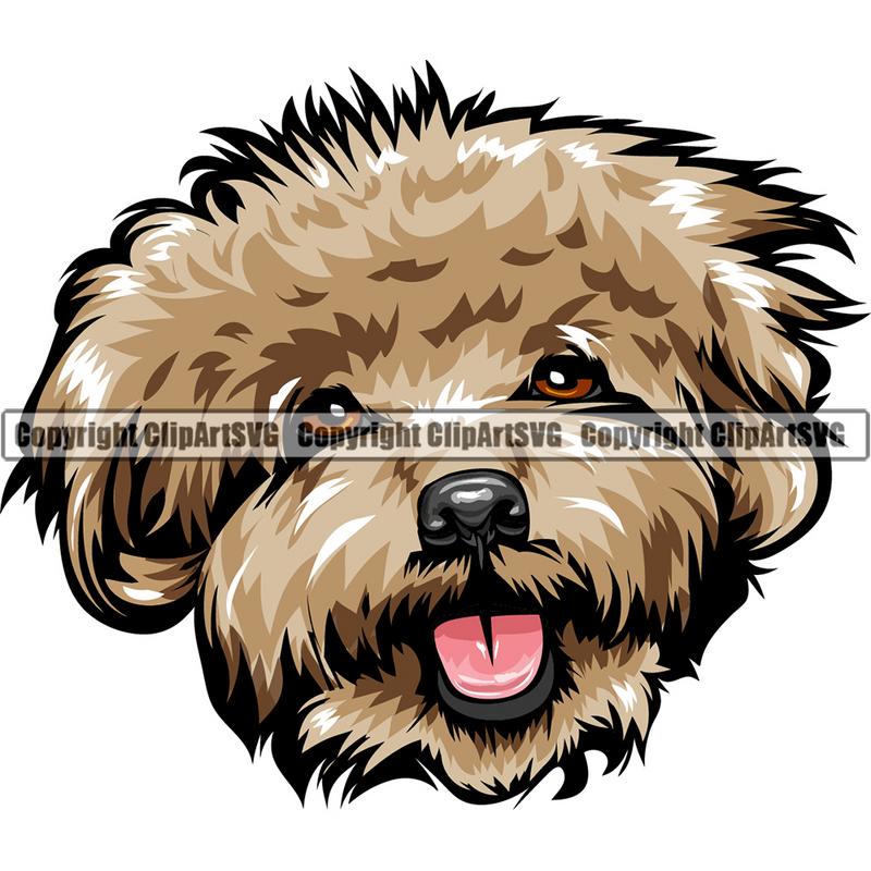 Poodle Dog Breed Head Color ClipArt SVG