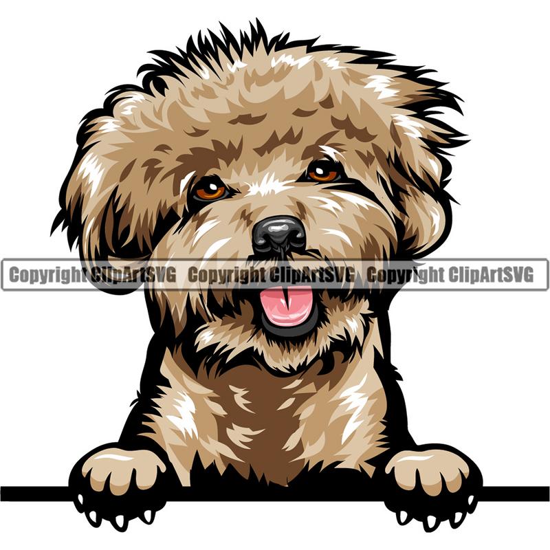 Poodle Dog Breed Peeking Color ClipArt SVG