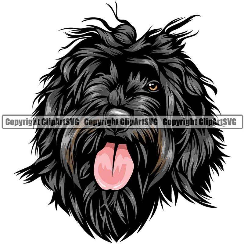 Portuguese Water Dog Dog Breed Head Color ClipArt SVG