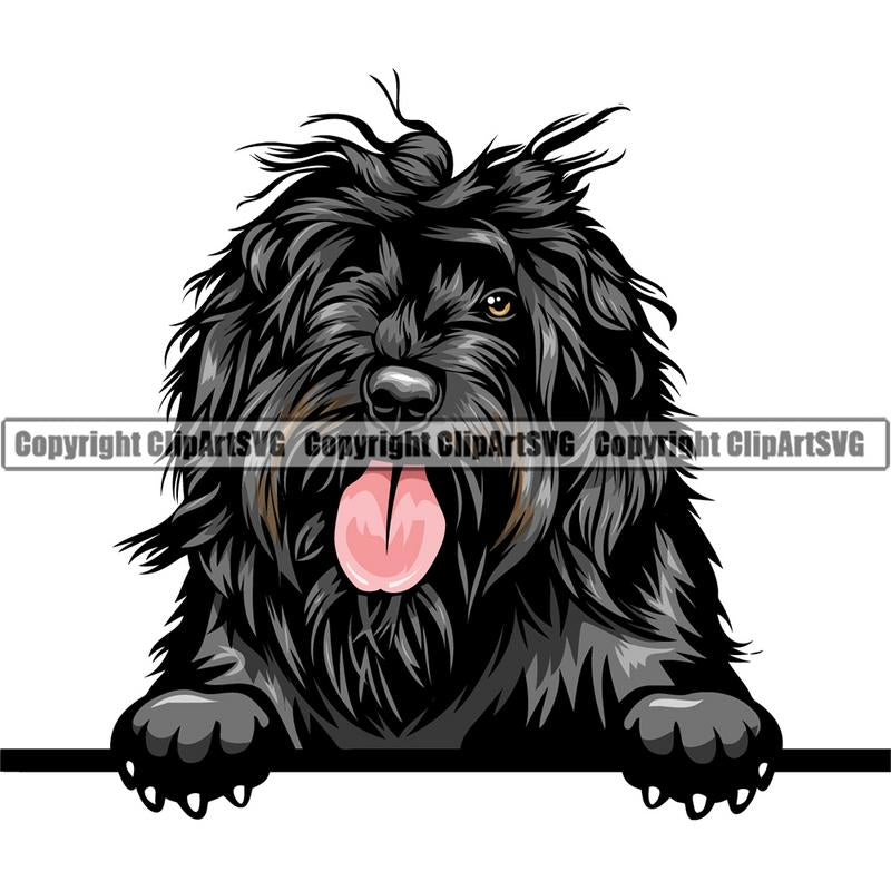 Portuguese Water Dog Dog Breed Peeking Color ClipArt SVG