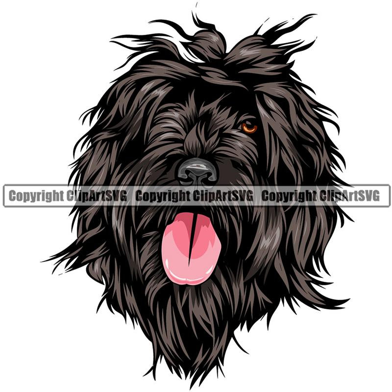 Portuguese Water Dog Dog Breed Head Color ClipArt SVG