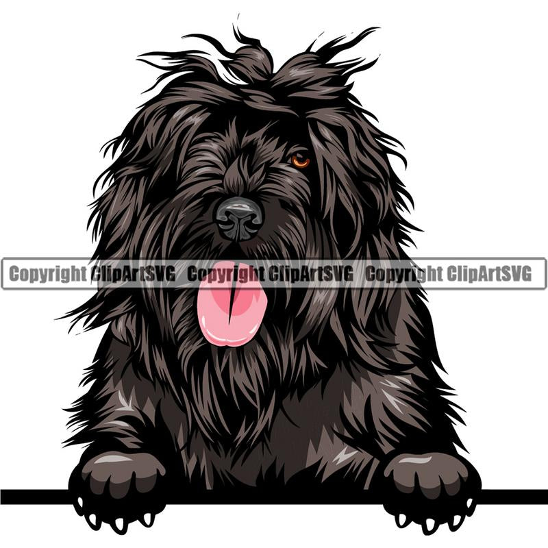 Portuguese Water Dog Dog Breed Peeking Color ClipArt SVG