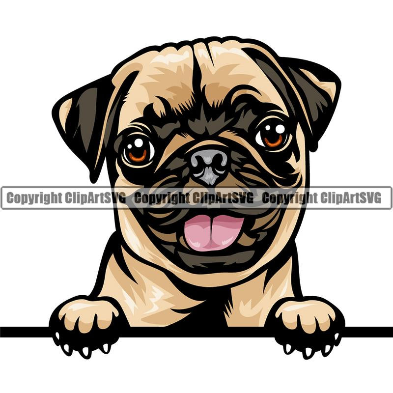 Pug Dog Breed Peeking Color ClipArt SVG