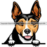 Rat Terrier Dog Breed Peeking Color ClipArt SVG