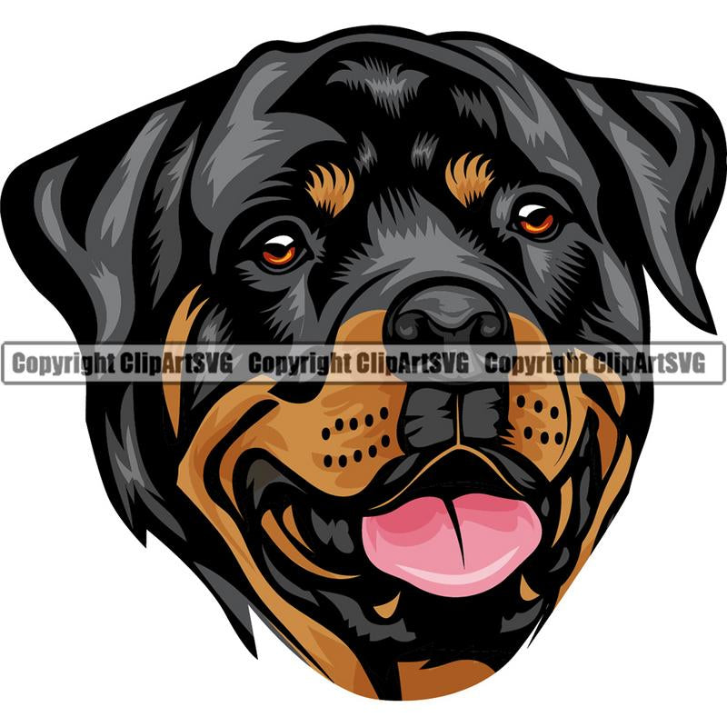 Rottweiler Dog Head Color ClipArt SVG