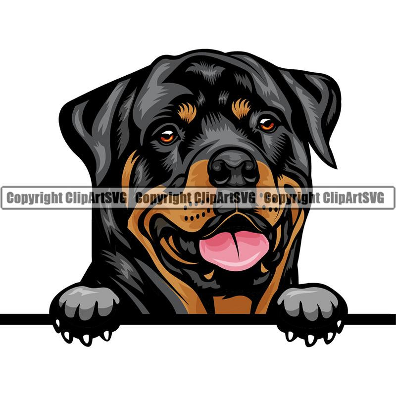 Rottweiler Dog Breed Peeking Color ClipArt SVG