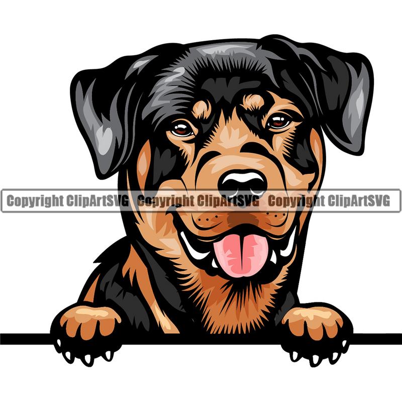 Rottweiler Dog Breed Peeking Color ClipArt SVG