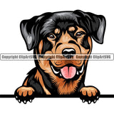 Rottweiler Dog Breed Peeking Color ClipArt SVG