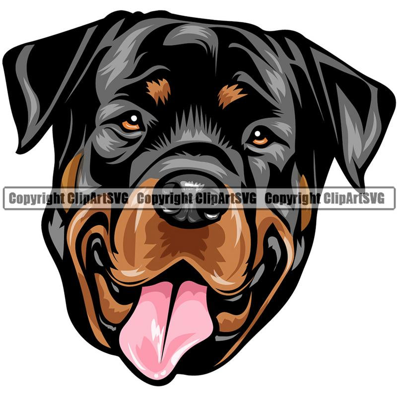 Rottweiler Dog Breed Head Color ClipArt SVG