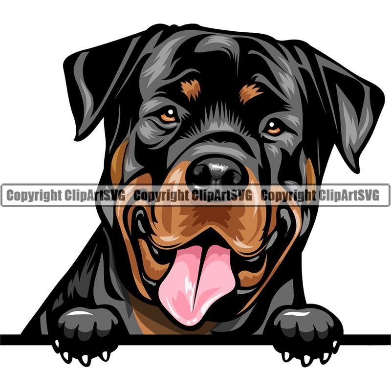Rottweiler Dog Breed Peeking Color ClipArt SVG