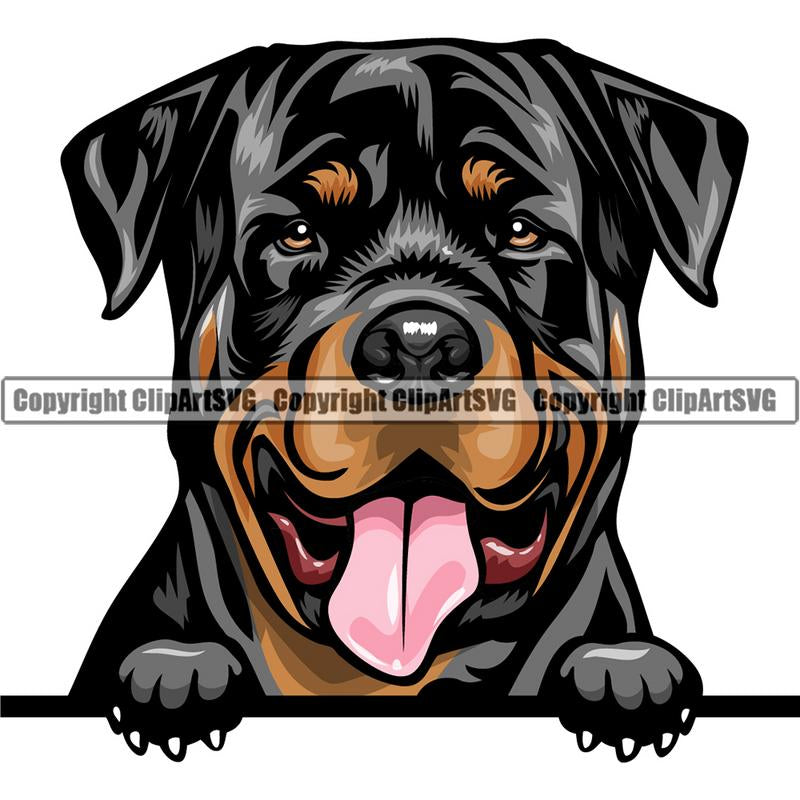 Rottweiler Dog Breed Peeking Color ClipArt SVG