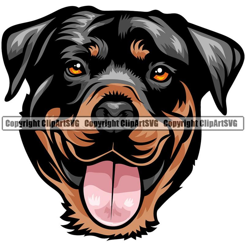 Rottweiler Dog Breed Head Color ClipArt SVG
