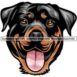 Rottweiler Dog Breed Head Color ClipArt SVG