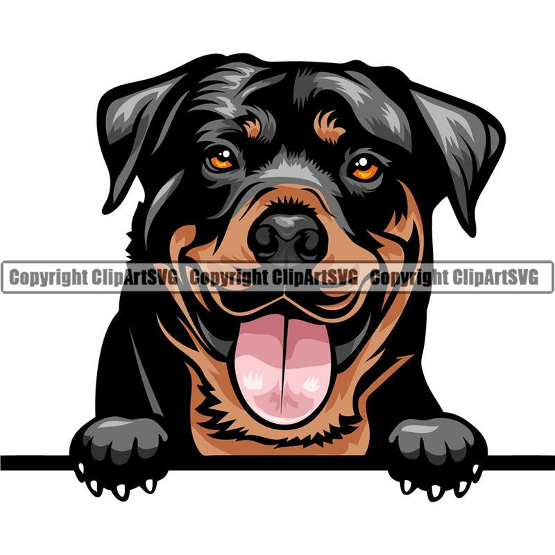 Rottweiler Dog Breed Peeking Color ClipArt SVG