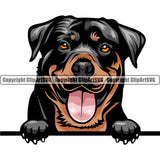 Rottweiler Dog Breed Peeking Color ClipArt SVG