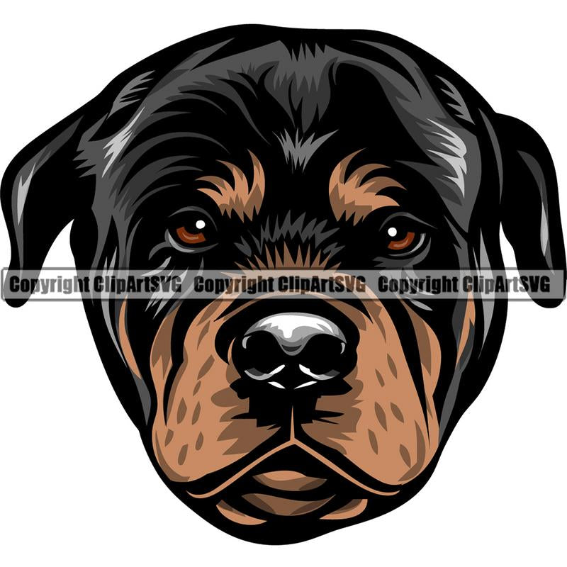 Rottweiler Dog Breed Head Color ClipArt SVG