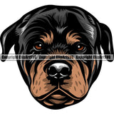 Rottweiler Dog Breed Head Color ClipArt SVG