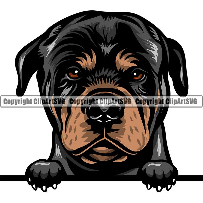Rottweiler Dog Breed Peeking Color ClipArt SVG