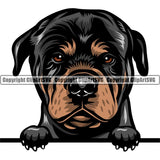 Rottweiler Dog Breed Peeking Color ClipArt SVG