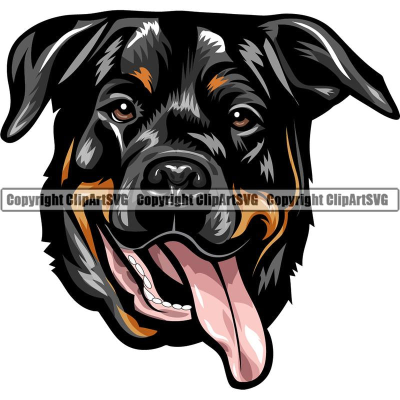 Rottweiler Dog Breed Head Color ClipArt SVG