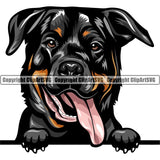 Rottweiler Dog Breed Peeking Color ClipArt SVG