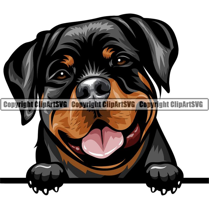 Rottweiler Dog Breed Peeking Color ClipArt SVG
