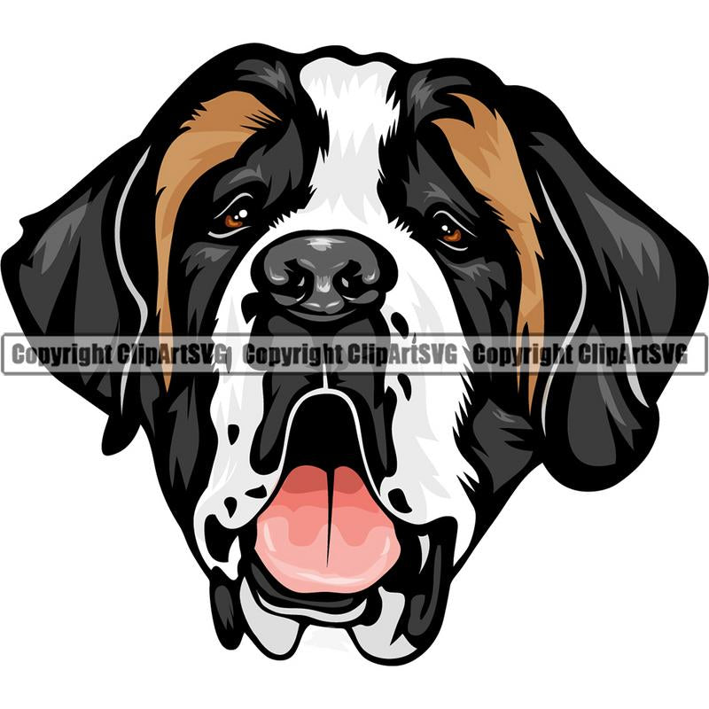 Saint Bernard Dog Breed Head Color ClipArt SVG