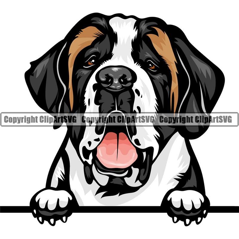 Saint Bernard Dog Breed Peeking Color ClipArt SVG