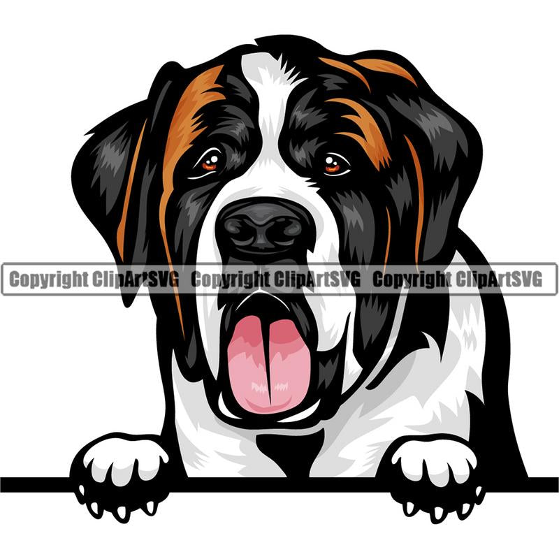 Saint Bernard Dog Breed Peeking Color ClipArt SVG