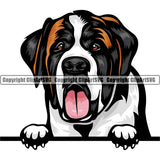 Saint Bernard Dog Breed Peeking Color ClipArt SVG