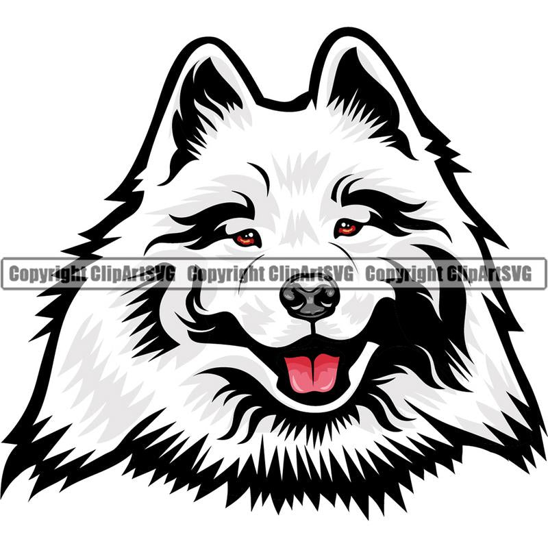 Samoyed Dog Breed Head Color ClipArt SVG