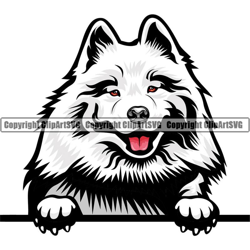 Samoyed Dog Breed Peeking Color ClipArt SVG