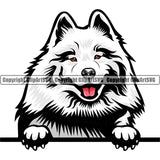 Samoyed Dog Breed Peeking Color ClipArt SVG