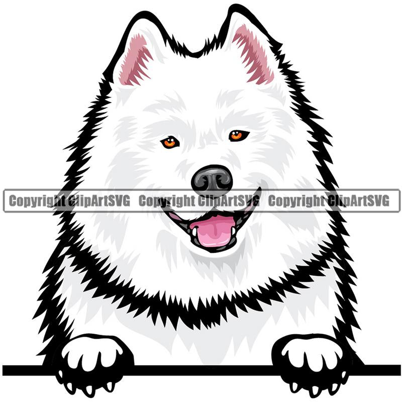 Samoyed Dog Breed Peeking Color ClipArt SVG