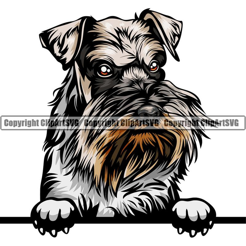 Schnauzer Dog Breed Peeking Color ClipArt SVG