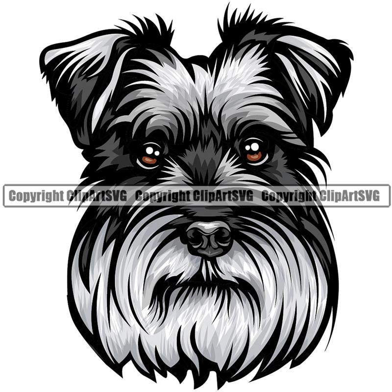 Schnauzer Dog Breed Head Color ClipArt SVG