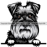 Schnauzer Dog Breed Peeking Color ClipArt SVG
