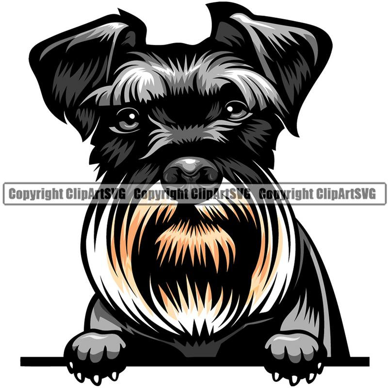 Schnauzer Dog Breed Peeking Color ClipArt SVG