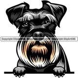 Schnauzer Dog Breed Peeking Color ClipArt SVG