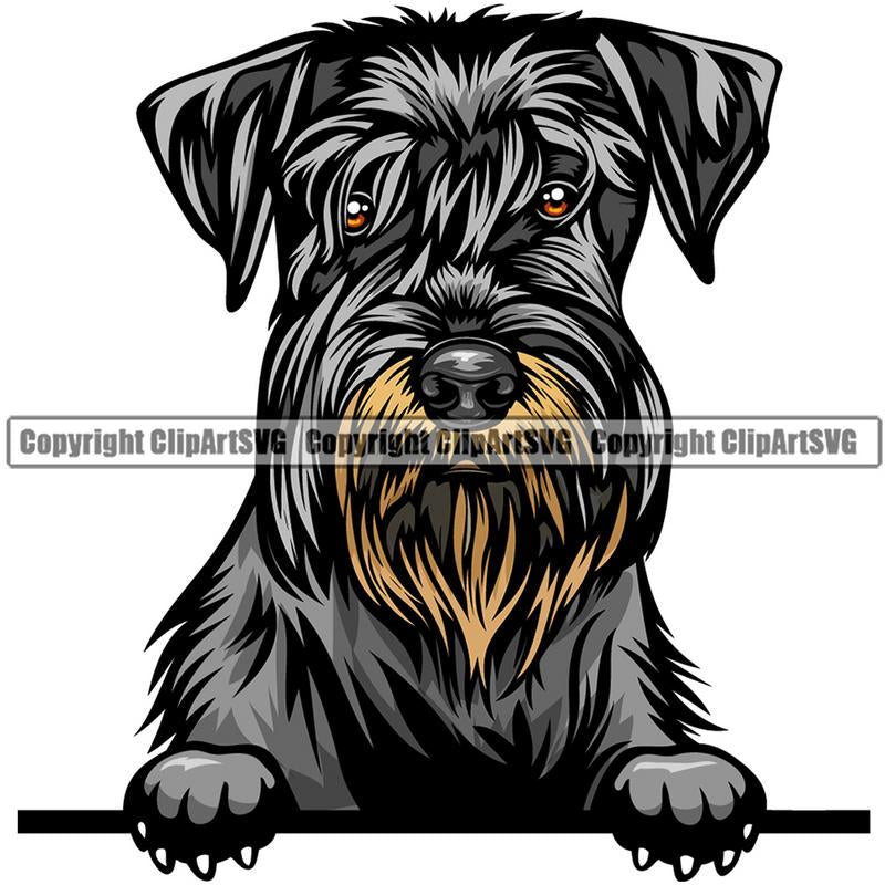 Schnauzer Dog Breed Peeking Color ClipArt SVG