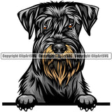 Schnauzer Dog Breed Peeking Color ClipArt SVG